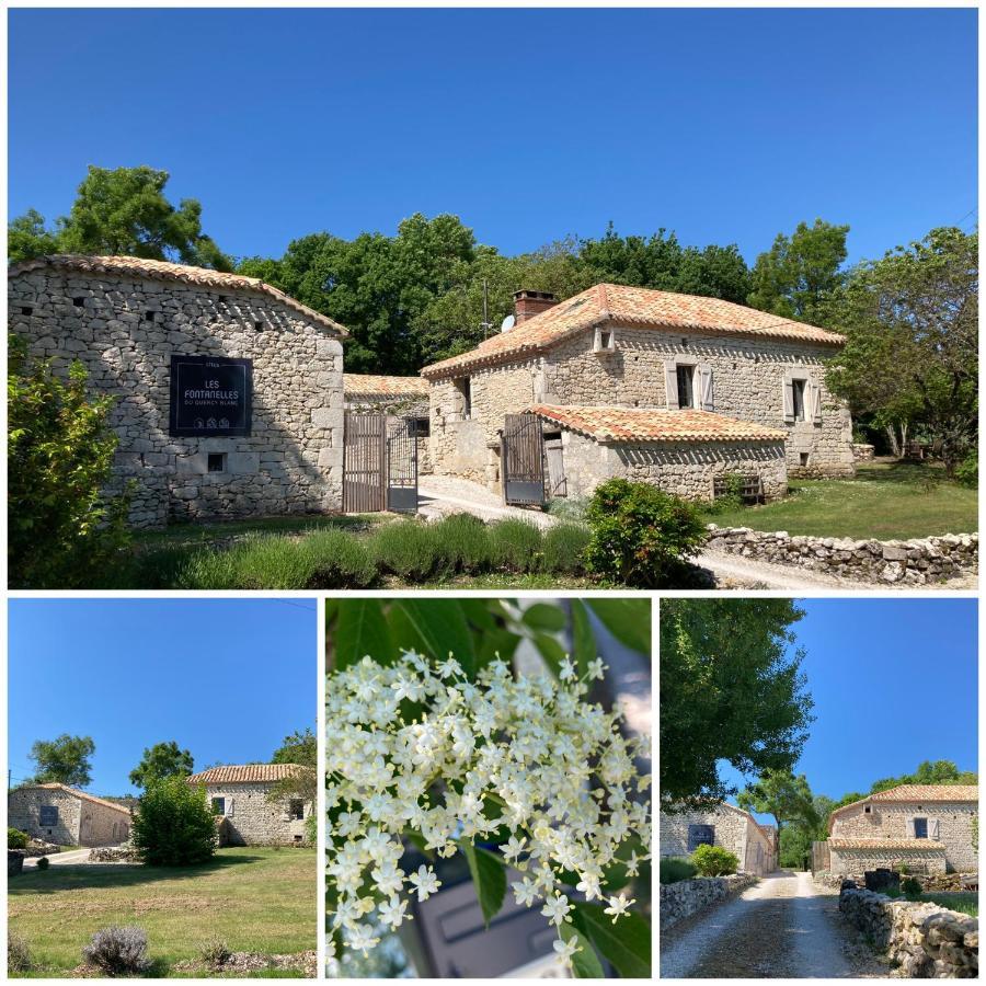 Les Fontanelles Du Quercy Blanc Montcuq Exterior foto